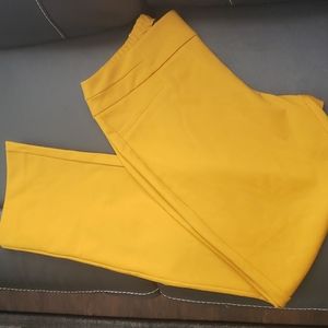 Gold NY & Co. Pants